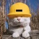ENCAT