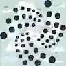IOTA