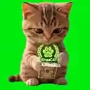 RCAT