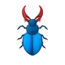 BEETLE