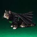 BATCAT