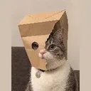 NEARLYZCAT