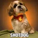 DOGHOT