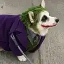 JOKERINU