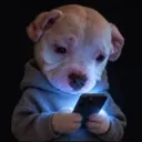 PHUBBER