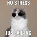 VCAT2