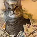 MEOWNEY