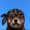 NI