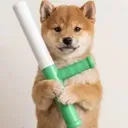BATON
