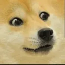 NDOGE