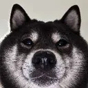 NIGGERNINU