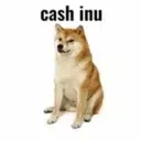 CASHINU