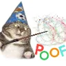 POOF