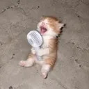 OHFUK