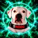 NDOG