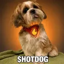 DOGHOT