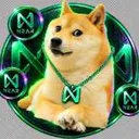 NDOGE