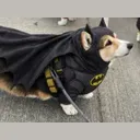 BATINU