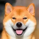 SHIBA