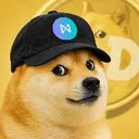 NEARDOGE