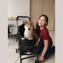 KABOSU