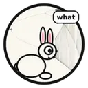 WHAT