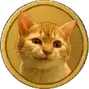 First Bitcoin Cat
