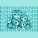 NCATS