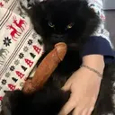 MARKPENIS