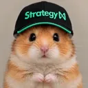 NSTR