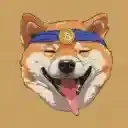 HDOGE