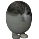 EGGCAT