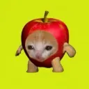 AAPLCAT