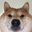 NINU