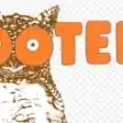 HOOTERS