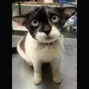 BBY