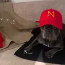 NEARVANA