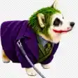 JOKERINU