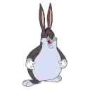 CHUNGUS