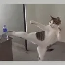 KICK