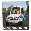 NINUNINU