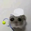 PINI