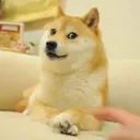 KABOSU