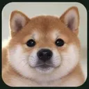 BNINU