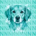 NDOG