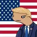 Npotus