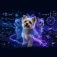QDOG