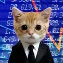 STOCKCAT