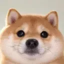 BABYNINU