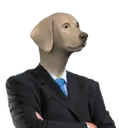 NEARDOG